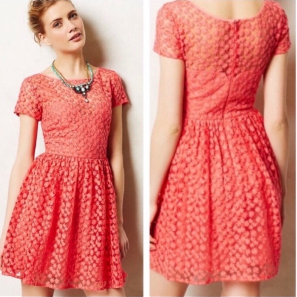Anthropologie NM Artelier embroidered mesh dress🍉